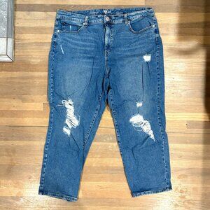 LIKE NEW! Style & Co Distressed Straight Leg Jeans Blue Stretch US 18/18W